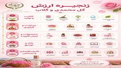 زنجیره ارزش گل‌محمدی و گلاب از مزرعه تا بازار